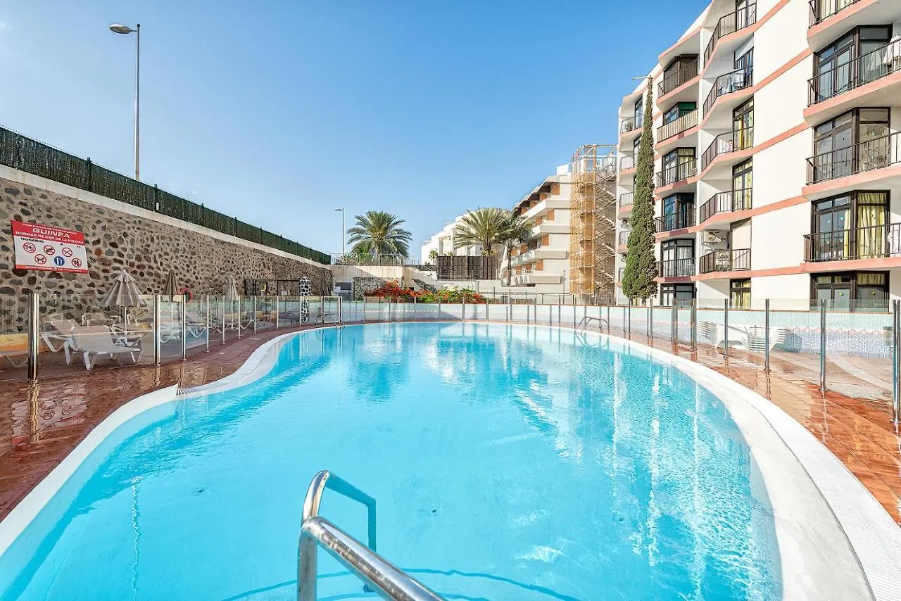 Pulpo Amarillo Apartment Playa del Ingles  0*, Playa del Ingles (Gran Canaria) Spain