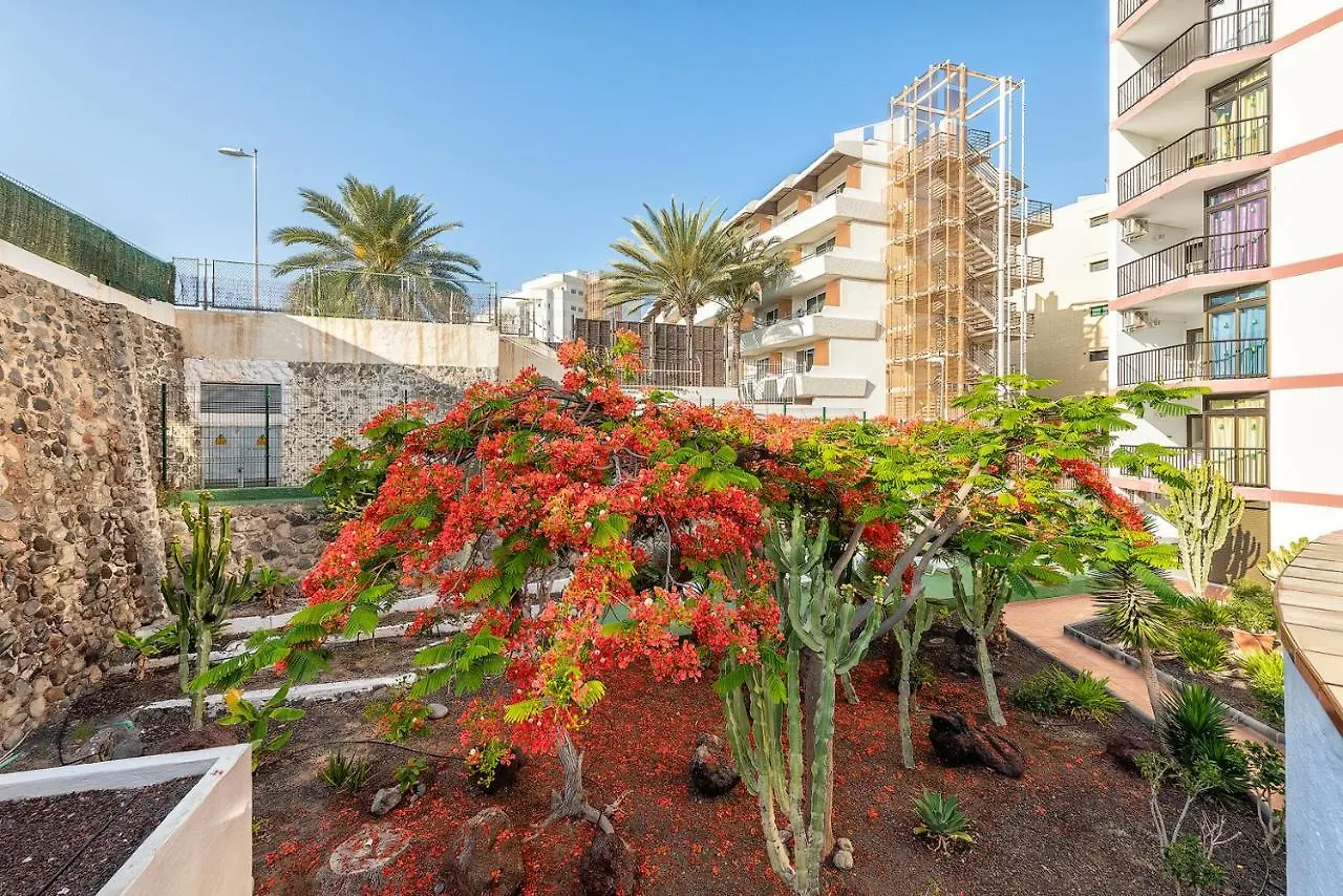 Pulpo Amarillo Apartment Playa del Ingles   Playa del Ingles (Gran Canaria)